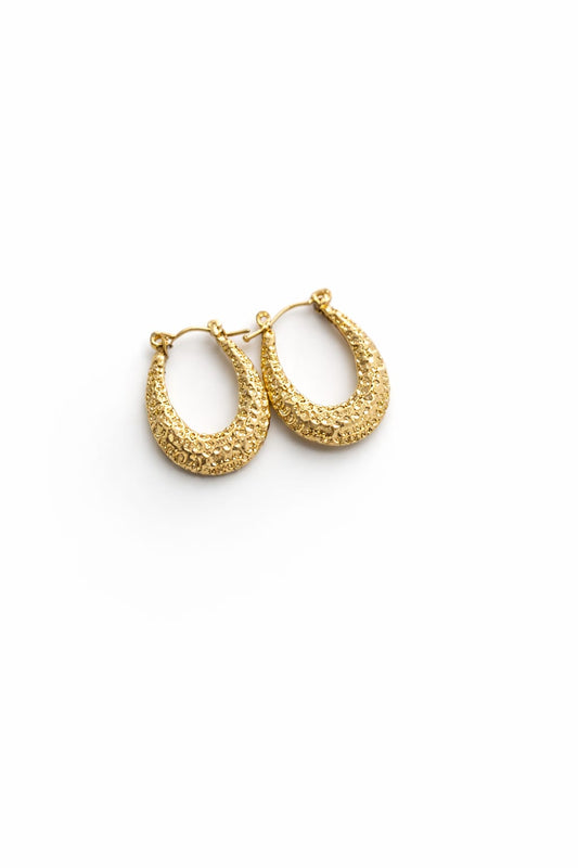 Textured Gold Finish Hoop Earrings for Women